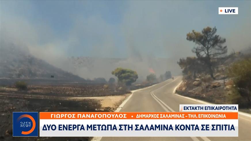 Δήμαρχος Σαλαμίνας: «Κάηκαν σπίτια από την φωτιά»