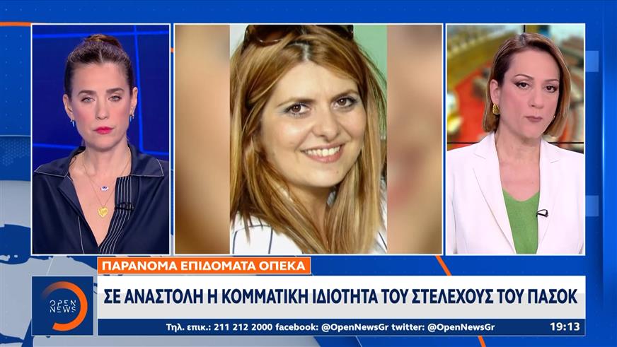 ΠΑΣΟΚ: Αναστέλλεται η κομματική ιδιότητα της Αναστασίας Χατζηδάκη