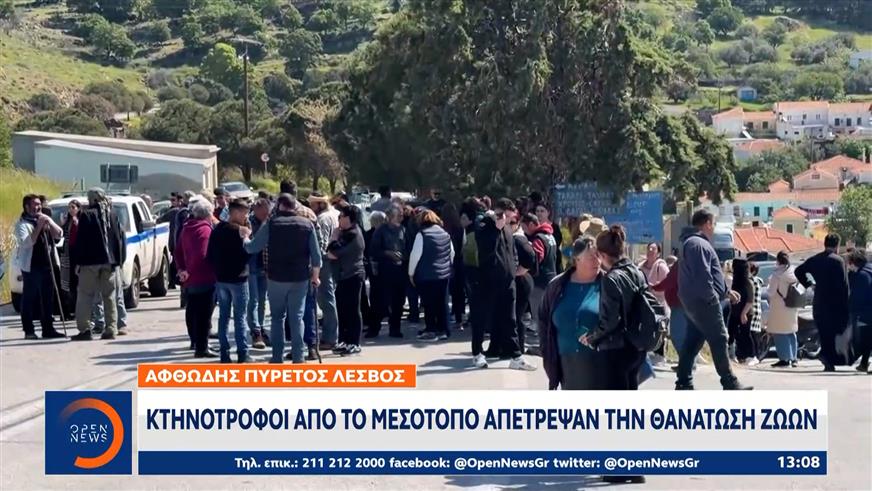 Αφθώδης πυρετός Λέσβος: Κτηνοτρόφοι από το Μεσότοπο απέτρεψαν τη θανάτωση ζώων