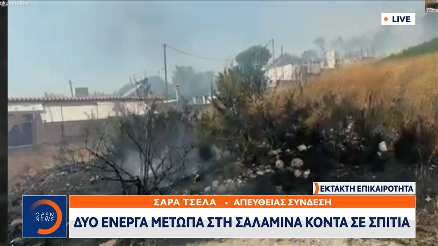 Καμένες εκτάσεις στην Σαλαμίνα - Πλησιάζει τα σπίτια η πυρκαγιά