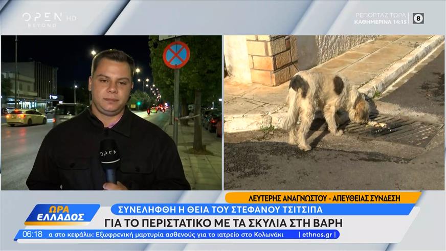 Συνελήφθη η θεία του Στέφανου Τσιτσιπά για το περιστατικό με τα σκυλιά