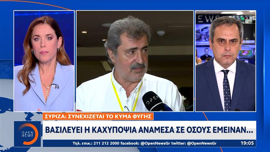 Επιχειρήθηκε «Αιφνιδιασμός - Μπλόκο» στην υποψηφιότητα Πολάκη